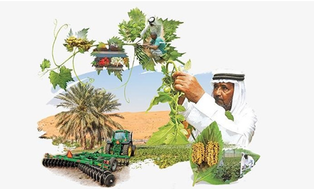  وضعیت کشاورزی در امارات