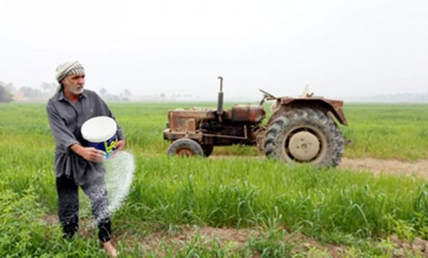  نگاهی به بخش کشاورزی و صنعت در اقتصاد عراق